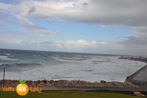 yaffa rain 1211 (33).JPG